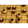 DAMA (Ar/Eng)