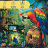 Exit Kids: غابة الألغاز
