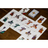 Scopa
