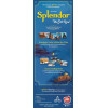 Splendor: The Silk Road Expansion