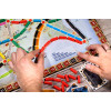Ticket to Ride Board Game (New Ed.)