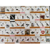 Wingspan Fan Art Pack