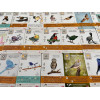 Wingspan Fan Art Pack