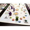 Tokaido Duo