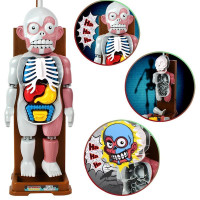 تحدي جسم الانسان