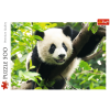 Giant Panda 500 pcs Puzzle #37142