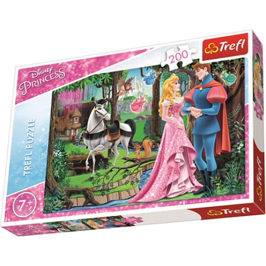 Aoruras Forest Meeting 200 pcs Puzzle #13223