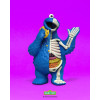 XXRAY PLUS: 9 Cookie Monster